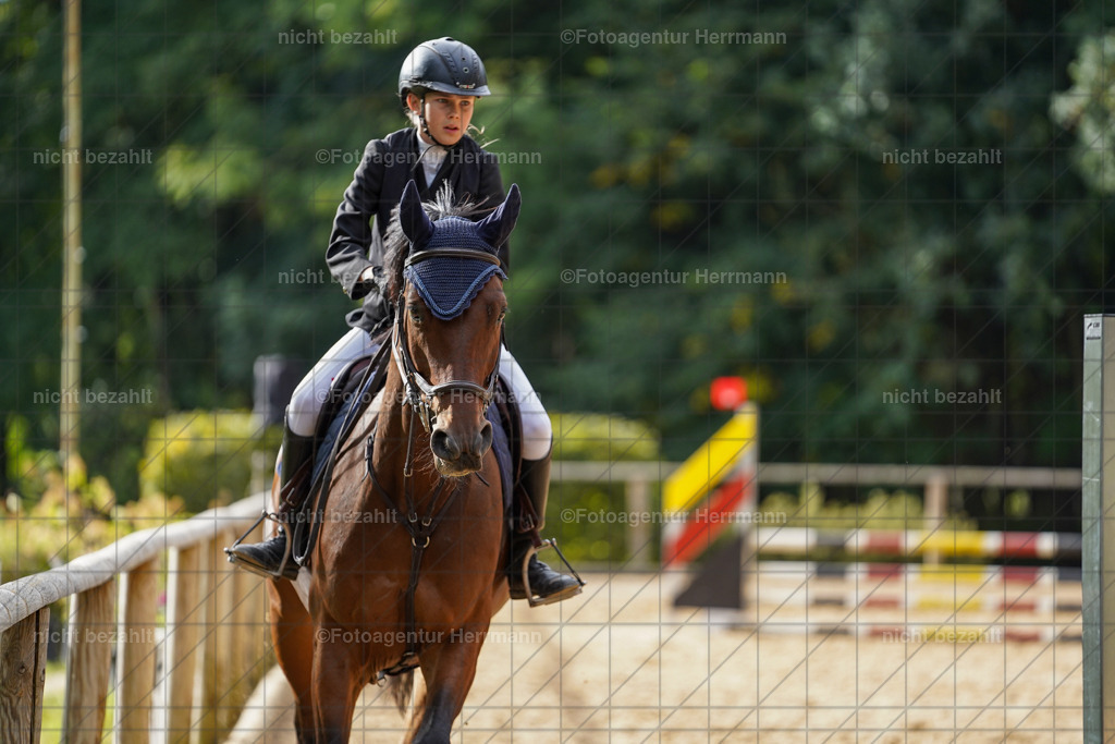 20231008-SN_01226 | Diessen am Ammersee, 2023, Dressur- und Springturnier, Reitsport, Turnierfotografie, Pferdebilder, Reitbilder, Turnierfotografen Bayern, Fotoagentur Herrmann