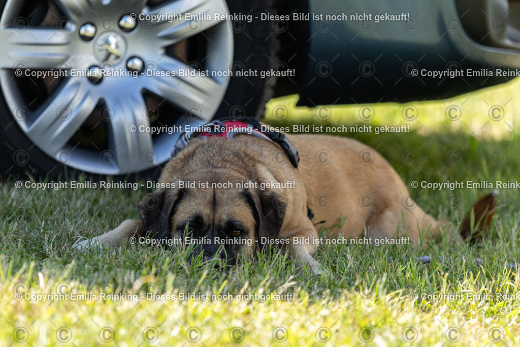 CL5A6927 | Emilia Reinking Fotografie - Realisiert mit Pictrs.com