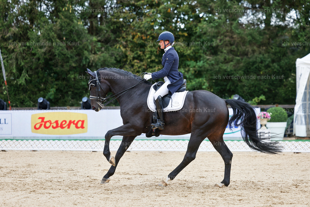 10-115-ST.GEORG SPECIAL -StoibPH-3201 | working equitationturnier fotograf videograf stoibphotography marixx film working equitation deutschland reitsport turnierfotografie eventfotografie equestrian events