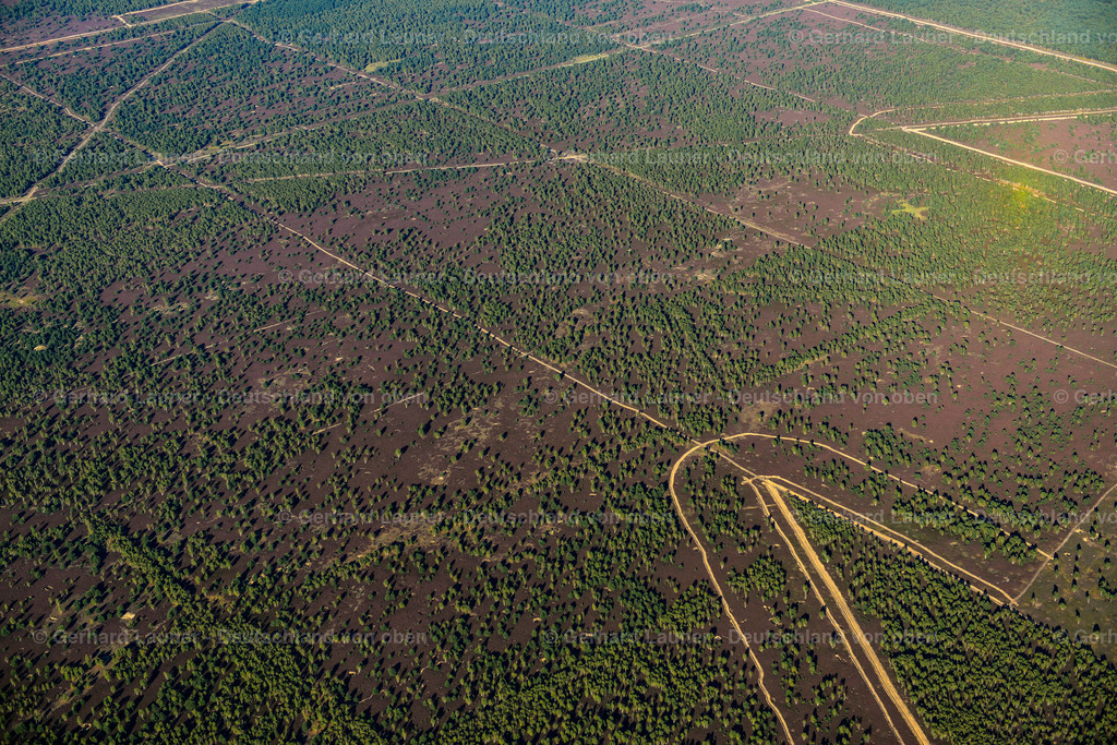 3638420 | FLECKEN ZECHLIN 25.08.2016 Forstgebiete in einem Waldgebiet  in Flecken Zechlin im Bundesland Brandenburg, Deutschland // Forest areas in  in Flecken Zechlin in the state Brandenburg, Germany Foto: Gerhard Launer