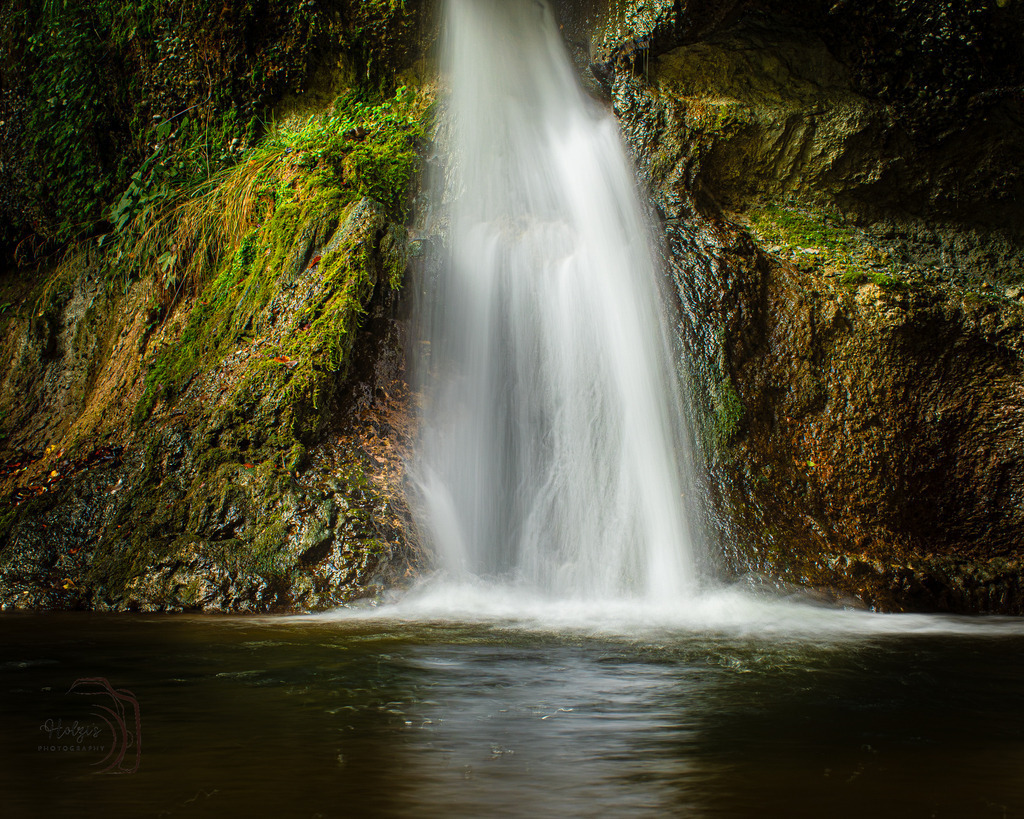 _HFG9435 | Holzisphotography, Landschaftsfotografie, Wildlifefotogorafie - Realisiert mit Pictrs.com