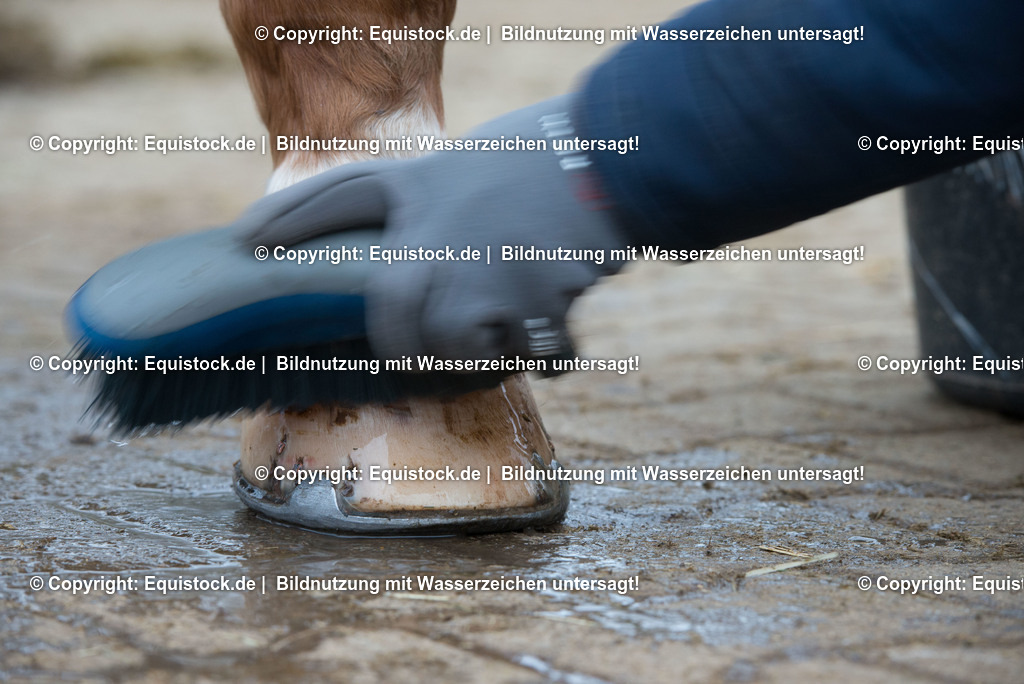 20171206_Huf_Waschen_Hartig_0004 | Foto: Thomas Hartig