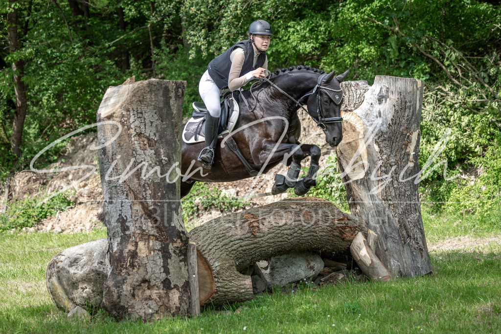 20260523-_3LI9859 | Tierfotografie Pferde, Hunde, Katzen, Haustiere.
Turnierfotografie Reitturniere, Reiten, Springreiten, Dressur in Hanau, dem Main-Kinzig-Kreis und dem Rhein-Main- Gebiet um Frankfurt