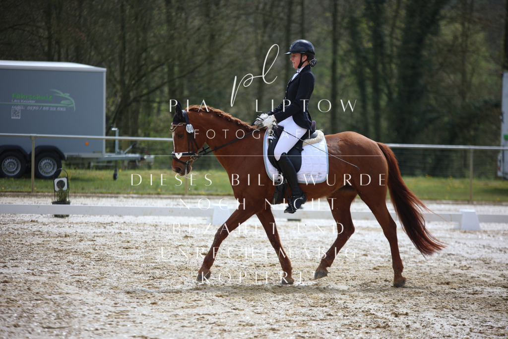 IMGT2606 | pl-fotografie