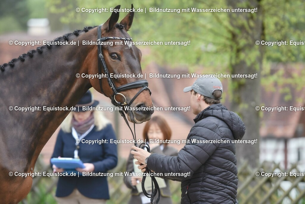 20230514_Impressionen_0071 | equistock