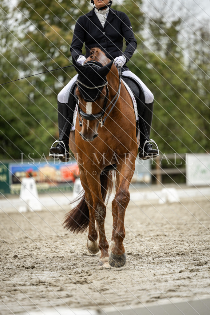 DK5A0333 | Isabel Marstall Fotografie - Realisiert mit Pictrs.com