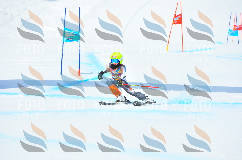 DSC_2945 | holidayphoto