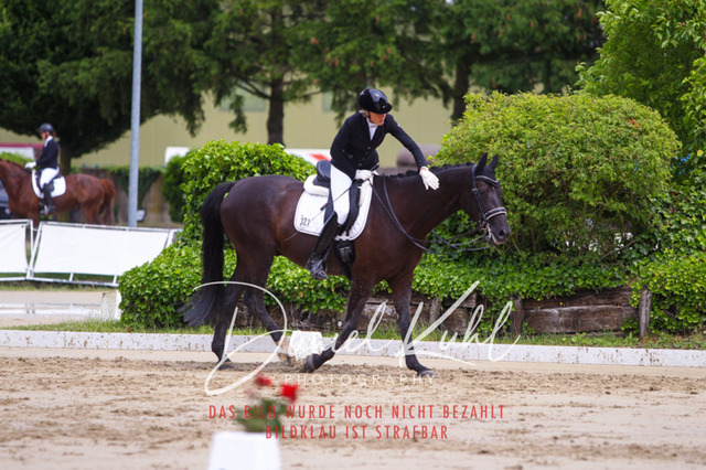 DKP40687 | Turniersportfotografie; Pferdefotografie; Dressurfotografie