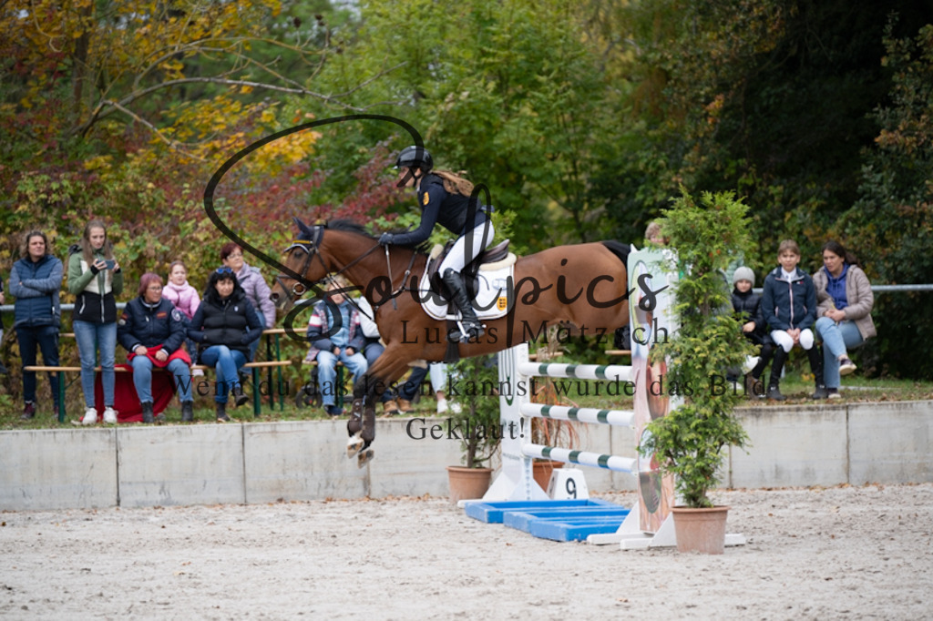 A7V01007 | Pferdefotograf