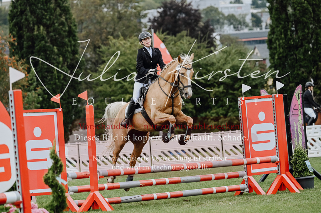 DSC_6883 | Pferde- und Turnierfotografie in Westsachsen. Pferdeportraits, Auftragszeichnungen und intuitive Kunst.