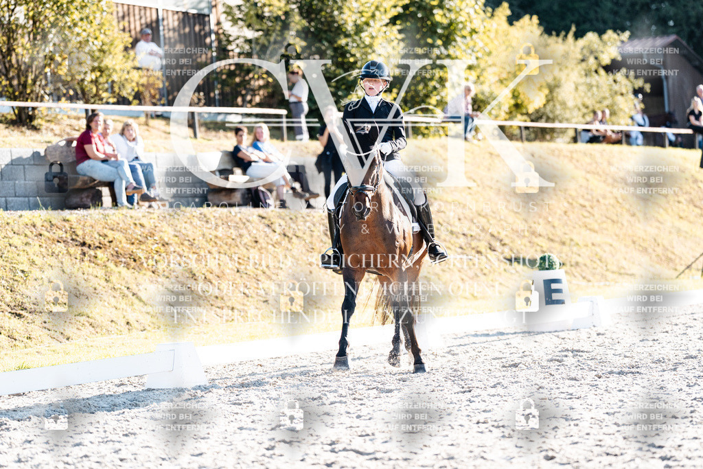 CK907051 | Turnierfotografie Pferdefotografie Trier Rheinland-Pfalz Pferdesport Reitsport Tierfotografie Sportfotografie Pferdevideo Pferdevideografie Equestrianvideography equestrianphotography  - Realisiert mit Pictrs.com
