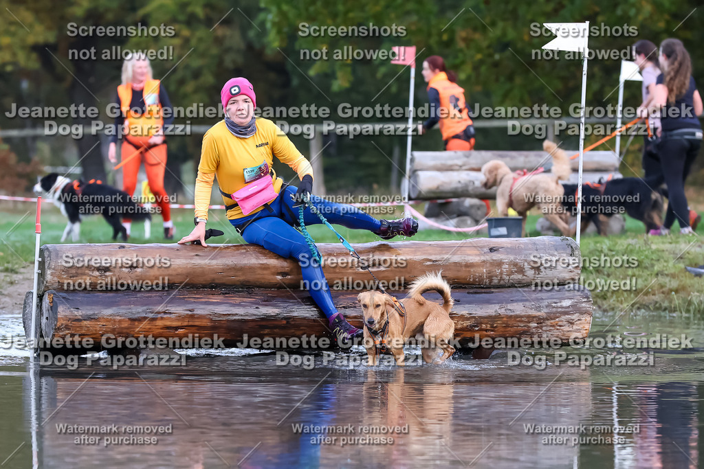 Dog Paparazzi - Strongdog 10-25-6452 | Dog Paparazzi Jeanette Grottendiek Fotografie & Videografie - Realisiert mit Pictrs.com