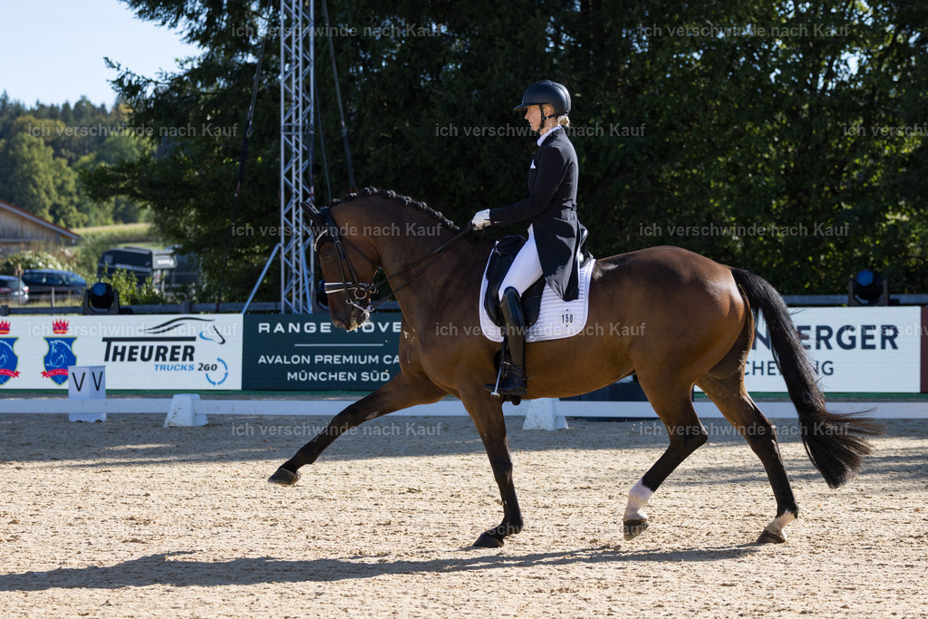 FHC2026_P07_150_17270 | working equitationturnier fotograf videograf stoibphotography marixx film working equitation deutschland reitsport turnierfotografie eventfotografie equestrian events