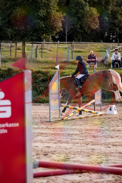 2026_10_03_Siefer-Hof_144457_Z81_19604037 | Professionelle Reitsport-, Turnier- und Eventfotografie von Robert Broda. Galerien mit ausgewählten und bearbeiteten Bildern direkt online ansehen und bestellen.