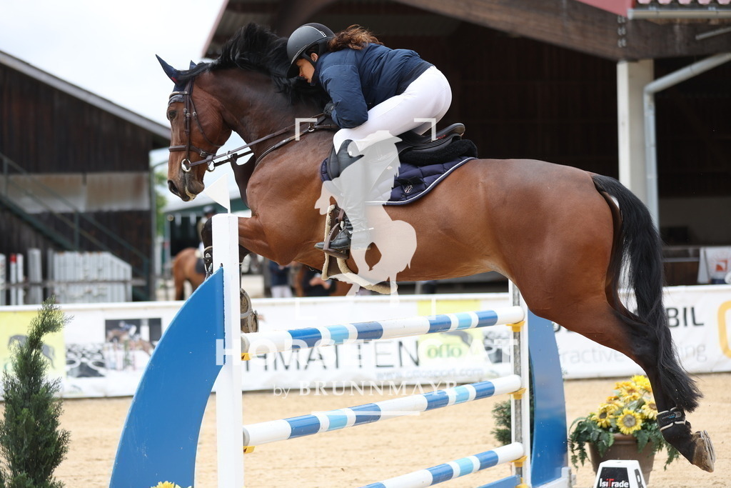 0P6A7092 | Willkommen bei Brunnmayr - Design & Fotografie – Ihrem Spezialisten für Reitturniere und Pferdeveranstaltungen in Oberösterreich, Salzburg und Bayern! Seit über 17 Jahren sind wir leidenschaftlich dabei.