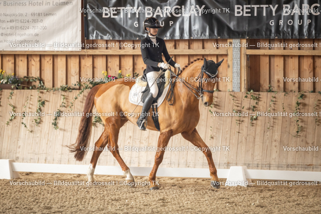 _D5A2816 | Emotionale Pferde- & People-Fotografie rund um Heidelberg, Leimen & Umgebung. Natürliche Fotos von Pferd, Mensch & Familie. Jetzt Termin sichern!