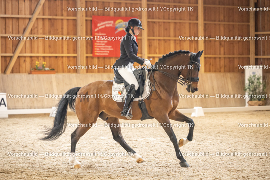 _D5A3374 | Emotionale Pferde- & People-Fotografie rund um Heidelberg, Leimen & Umgebung. Natürliche Fotos von Pferd, Mensch & Familie. Jetzt Termin sichern!