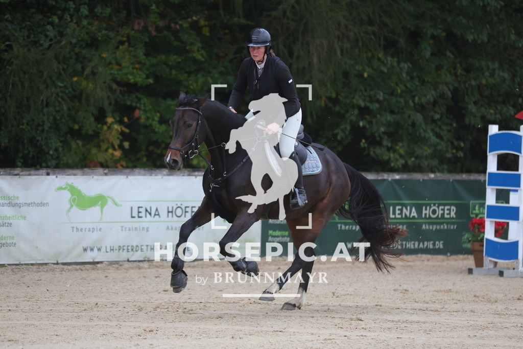 0P6A0406 | Willkommen bei Brunnmayr - Design & Fotografie – Ihrem Spezialisten für Reitturniere und Pferdeveranstaltungen in Oberösterreich, Salzburg und Bayern! Seit über 17 Jahren sind wir leidenschaftlich dabei.