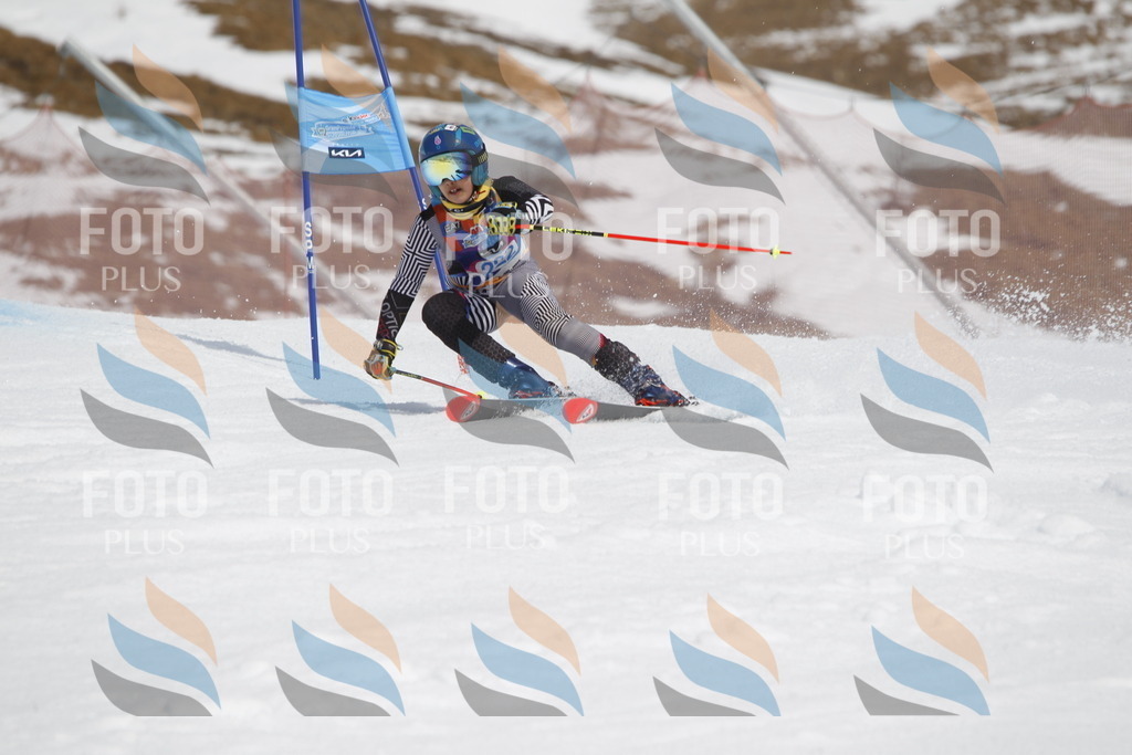 _U3G2397 | holidayphoto