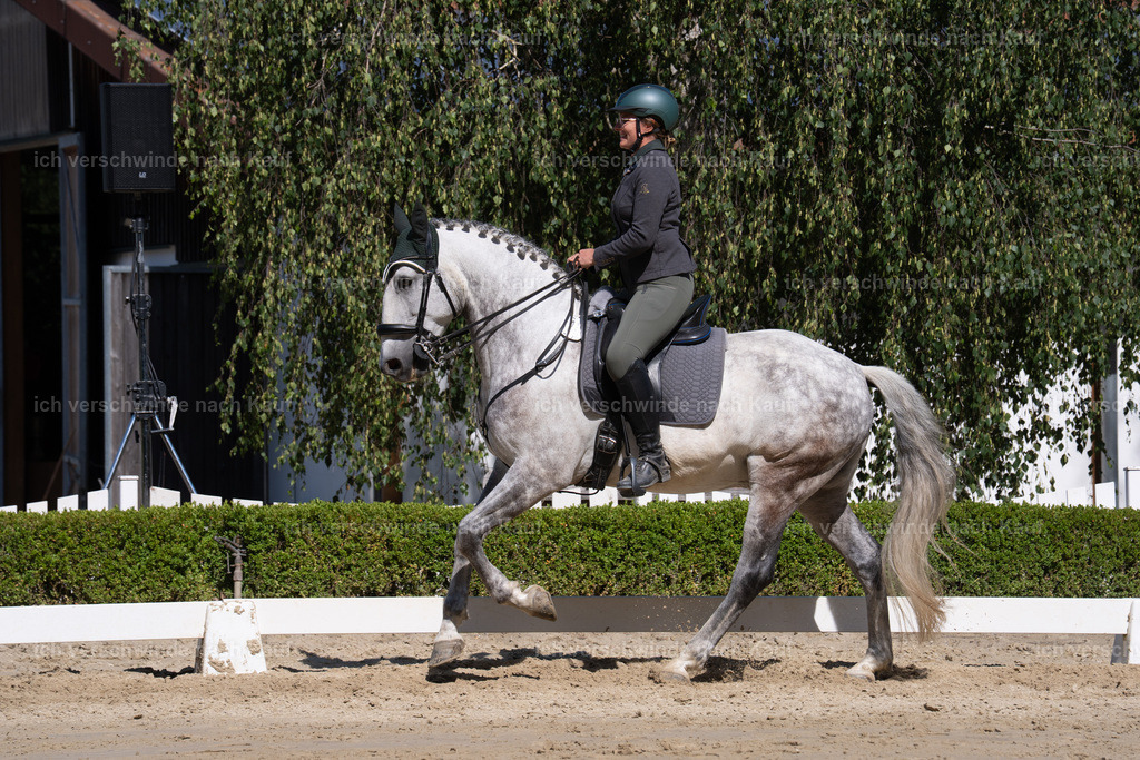WL_DR_69_sinafilmart_IN07206 | working equitationturnier fotograf videograf stoibphotography marixx film working equitation deutschland reitsport turnierfotografie eventfotografie equestrian events