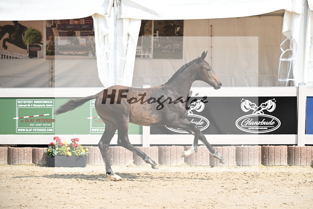 Escaneno x Ganymedes_HF_Amann_12250206 | hf-fotografie - Realisiert mit Pictrs.com