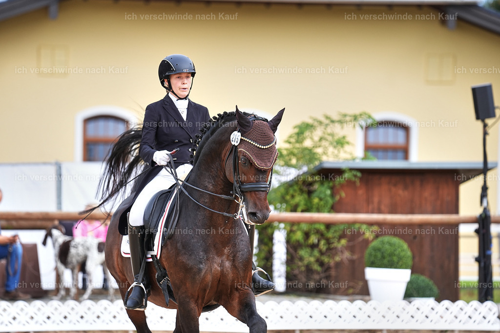 11-215-Dressur S___-Marixx-1753 | working equitationturnier fotograf videograf stoibphotography marixx film working equitation deutschland reitsport turnierfotografie eventfotografie equestrian events
