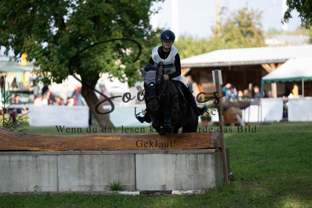 A7V03086 | Pferdefotograf