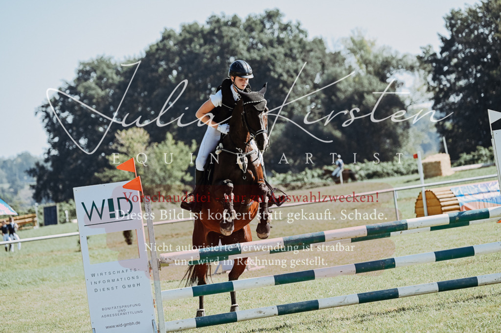 DSC_5482 | Pferde- und Turnierfotografie in Westsachsen. Pferdeportraits, Auftragszeichnungen und intuitive Kunst.