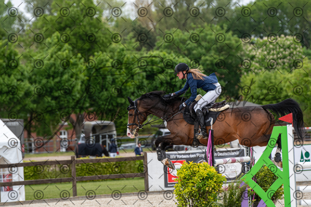 KPT_9949 | andre_photographic