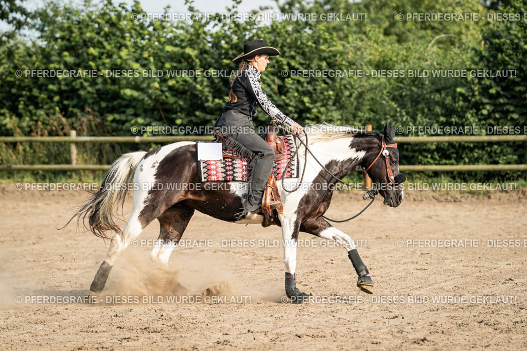 DSC05537 | Pferdegrafie