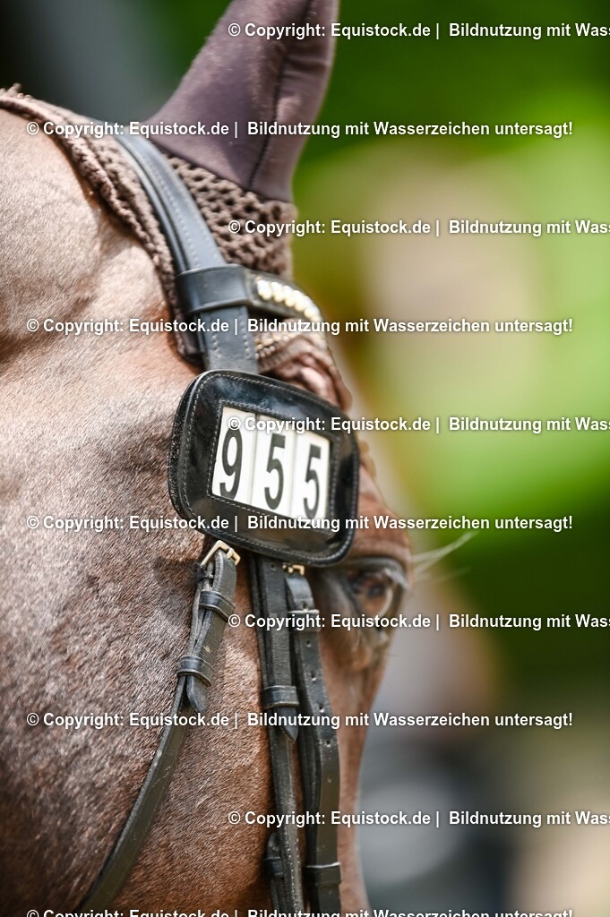 20250608_CVI-Masterclass_0018 | Foto: Thomas Hartig