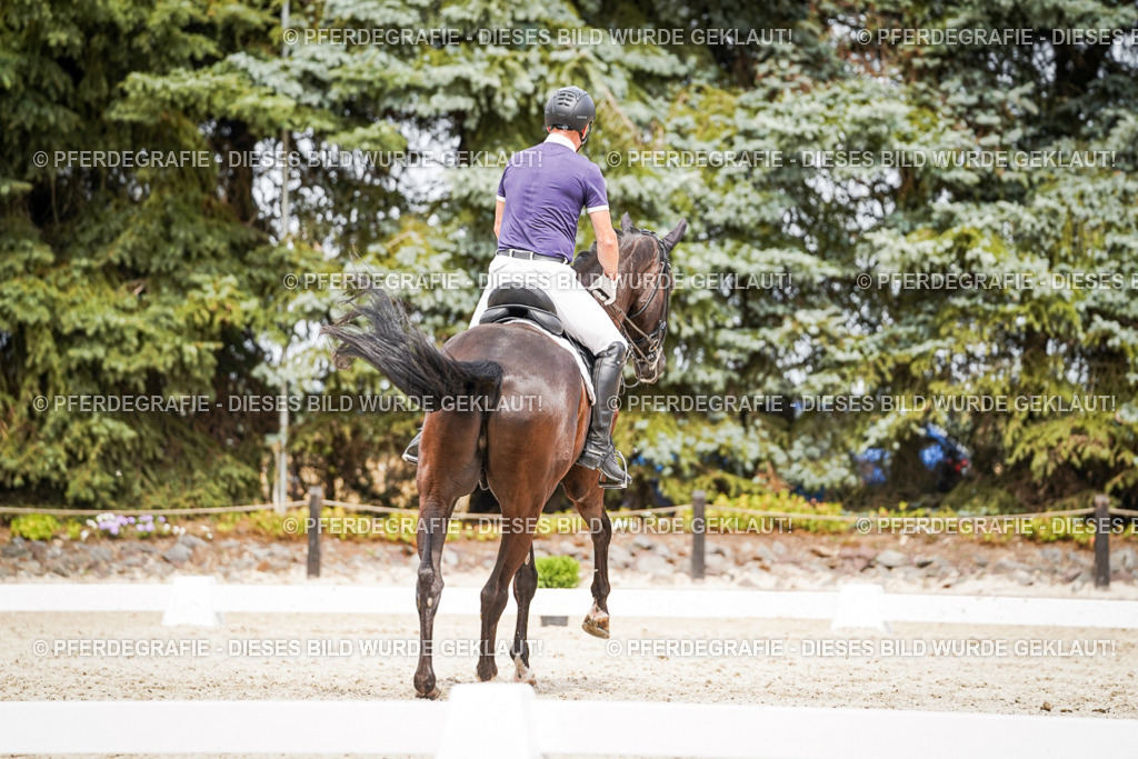 DSC06253 | Pferdegrafie