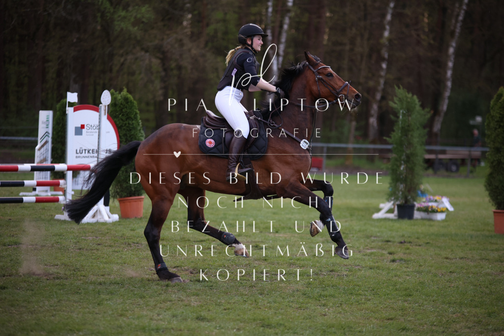 IMGT9484 | pl-fotografie