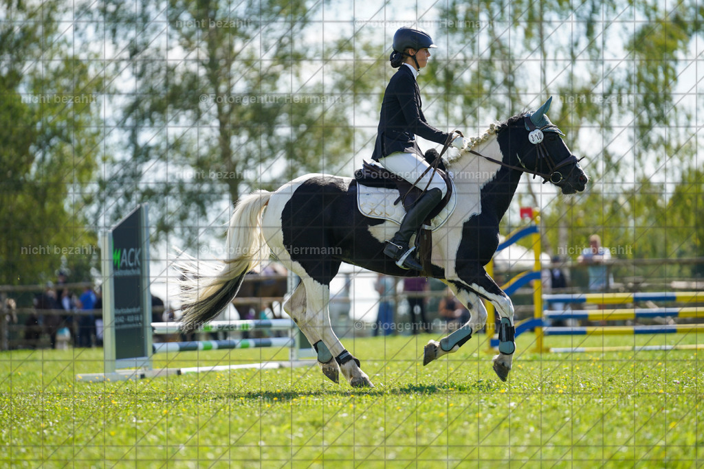 20230917-FAH09373 | Landsberg am Lech, 2023, Kaufbeuren, Kempten, Allgäu, Turnierfotografen Bayern, Fotoagentur Herrmann, Turnierbilder, Reitsport Fotos, Pferdefotograf, Augsburg, Bad Tölz, Dachau, Karlsfeld, Memmingen, Buchloe, Schwabmünchen