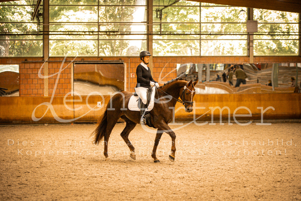 2Reiten00159 | Leoni Ertmer Photography - Realisiert mit Pictrs.com