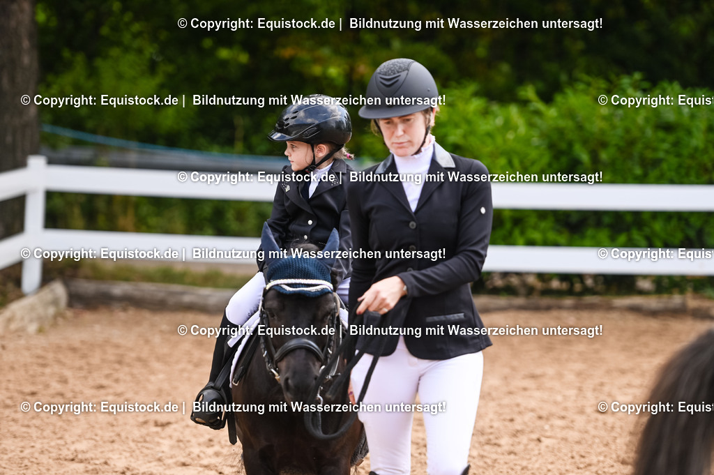 20230716_11_Führzügel-WB_0144 | equistock