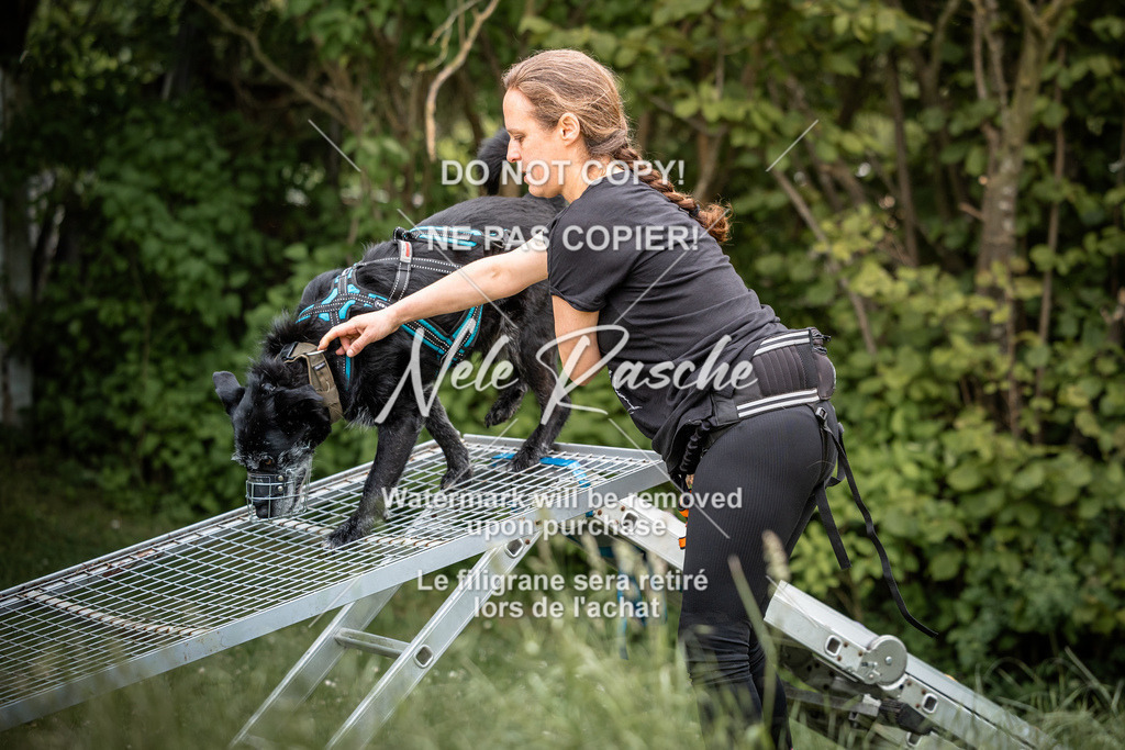nelerasche_So-funtrail_63 | nelerasche