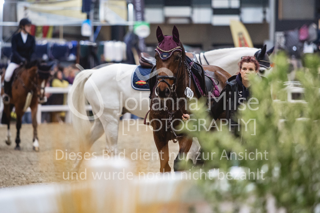 231028_Oldenburg_S1-Spr_Amateure-106 | Deine schönsten Turniermomente als professionelle Fotos! Entdecke hochwertige Pferdesport-Fotografie im Online-Shop. Jetzt Fotos finden & bestellen!