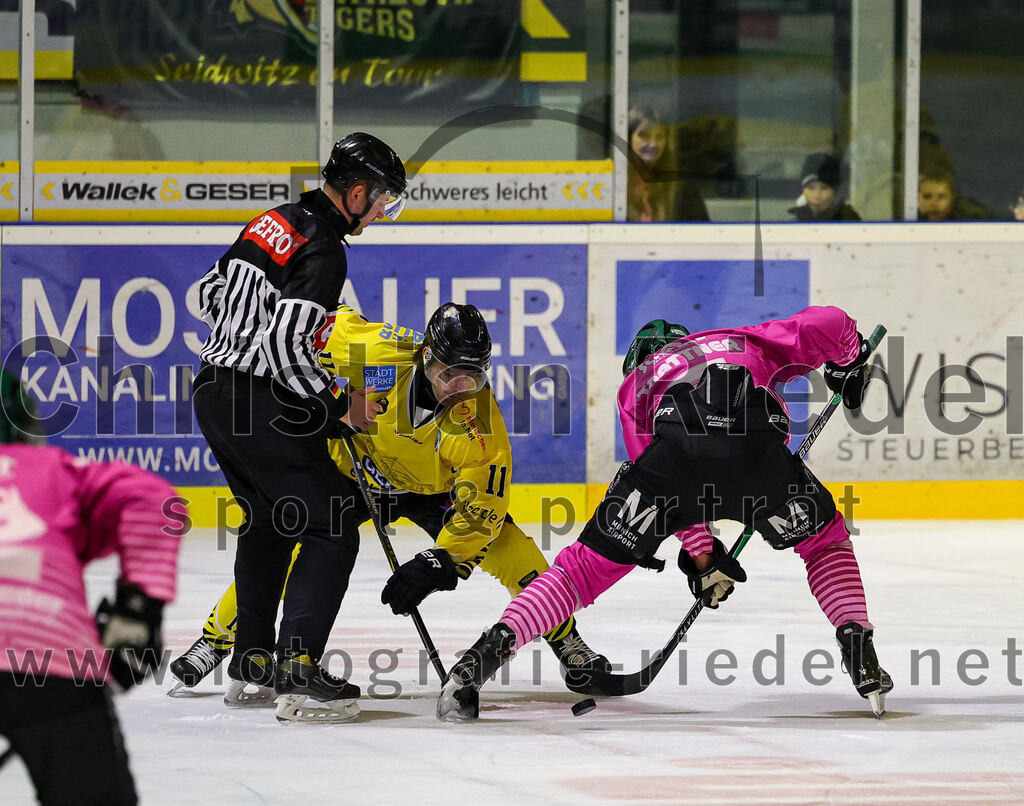 2025-10-10_054_TSV_Erding_gegen_onesto_Tigers_Bayreuth | Erding, Deutschland, 10.10.2025:Eishockey, Oberliga Süd 2025 / 2026, 7. Spieltag, TSV Erding gegen onesto Tigers Bayreuth, Endergebnis: 2:5Lars Stelzmann (onesto Tigers Bayreuth, #11), Louis Trattner (Erding Gladiators, #7)Foto: Christian Riedel / fotografie-riedel.net