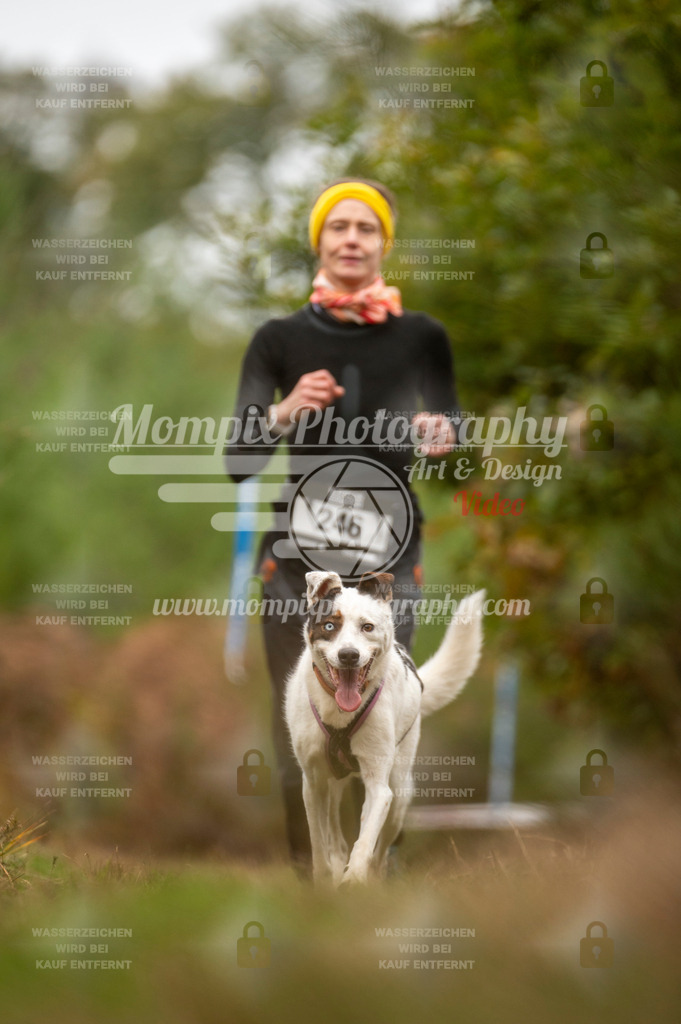 TSB_2023_E5_Canicross-159 | PayLife