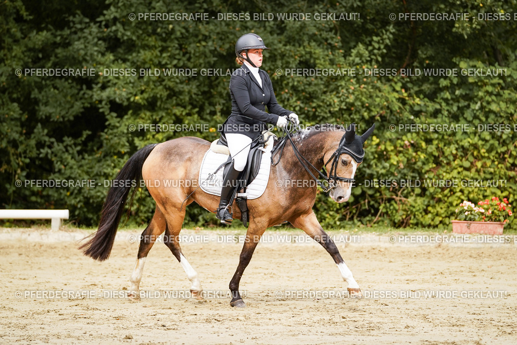 DSC02658 | Pferdegrafie