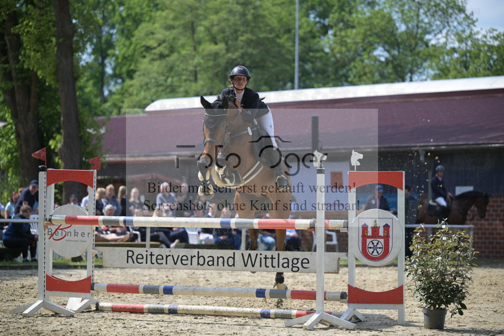 DOS_8748 | Entdecke hochwertige Reitturnierfotos von Foto Oger. Professionell, emotional und authentisch – jetzt Lieblingsmomente im Shop bestellen.Deutschlandweite Turnierfotografie. - Realisiert mit Pictrs.com