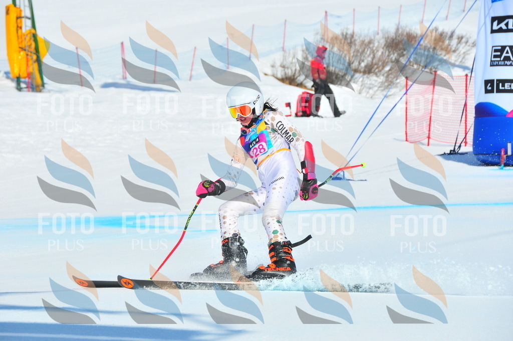 DSC_4850 | holidayphoto