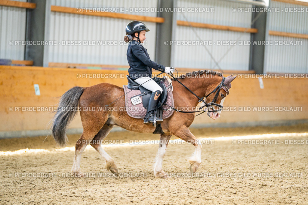 DSC02931 | Pferdegrafie