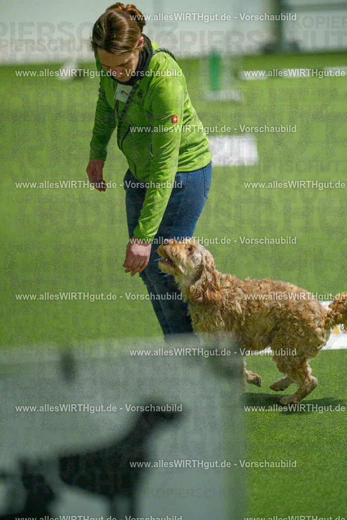 7R504480 | Professionelle Tierfotografie in Mönchengladbach von Daniel Wirth (allesWIRTHgut). Liebevolle & natürliche Bilder von Hunden & Katzen für unvergessliche Erinnerungen.