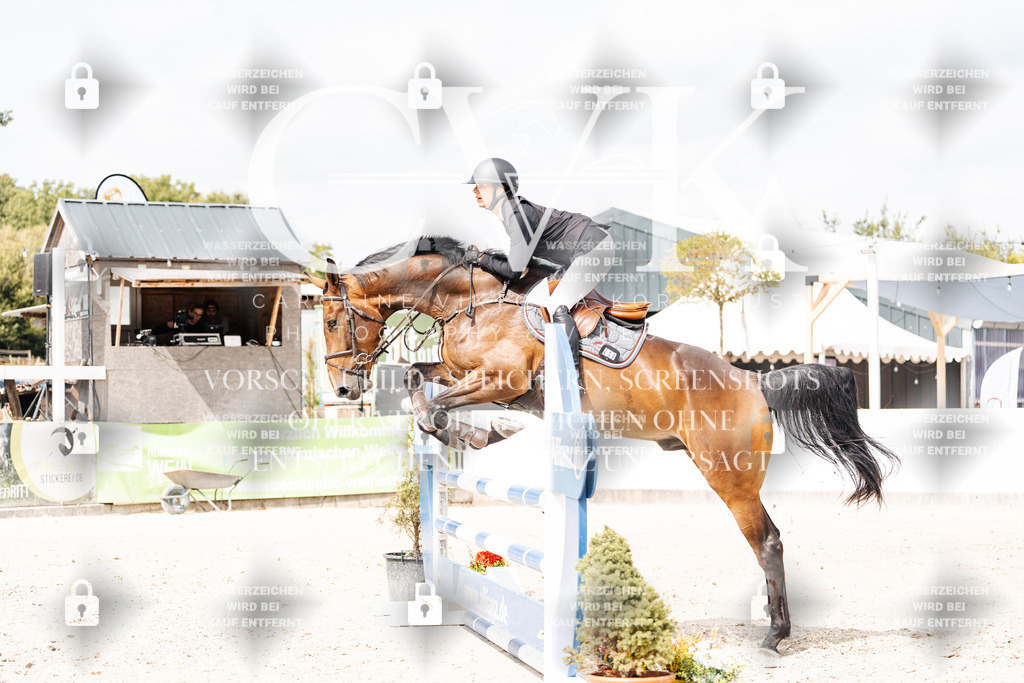 CK909117 | Turnierfotografie Pferdefotografie Trier Rheinland-Pfalz Pferdesport Reitsport Tierfotografie Sportfotografie Pferdevideo Pferdevideografie Equestrianvideography equestrianphotography  - Realisiert mit Pictrs.com