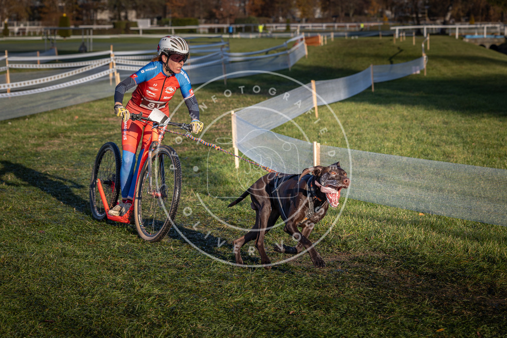 CaniXpix_0L8A3708 | Hundefotografie, Tierfotograf, Pfotenfotografie, Fotoshooting Hund, Hunde Portrait, Hundesport, Hundeportraits, Heideshooting, Hunde, Sportfotograf, Hundefotograf, Turnierhundsport, THS,  - Realisiert mit Pictrs.com
