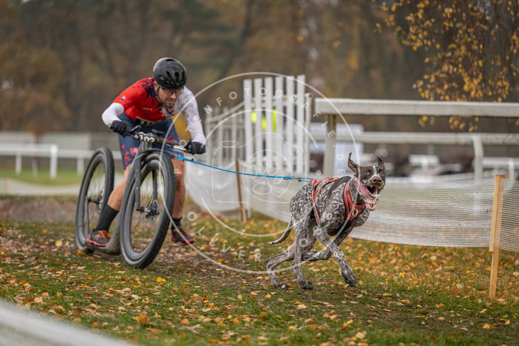 CaniXpix_DV3A7490 | Hundefotografie, Tierfotograf, Pfotenfotografie, Fotoshooting Hund, Hunde Portrait, Hundesport, Hundeportraits, Heideshooting, Hunde, Sportfotograf, Hundefotograf, Turnierhundsport, THS,  - Realisiert mit Pictrs.com
