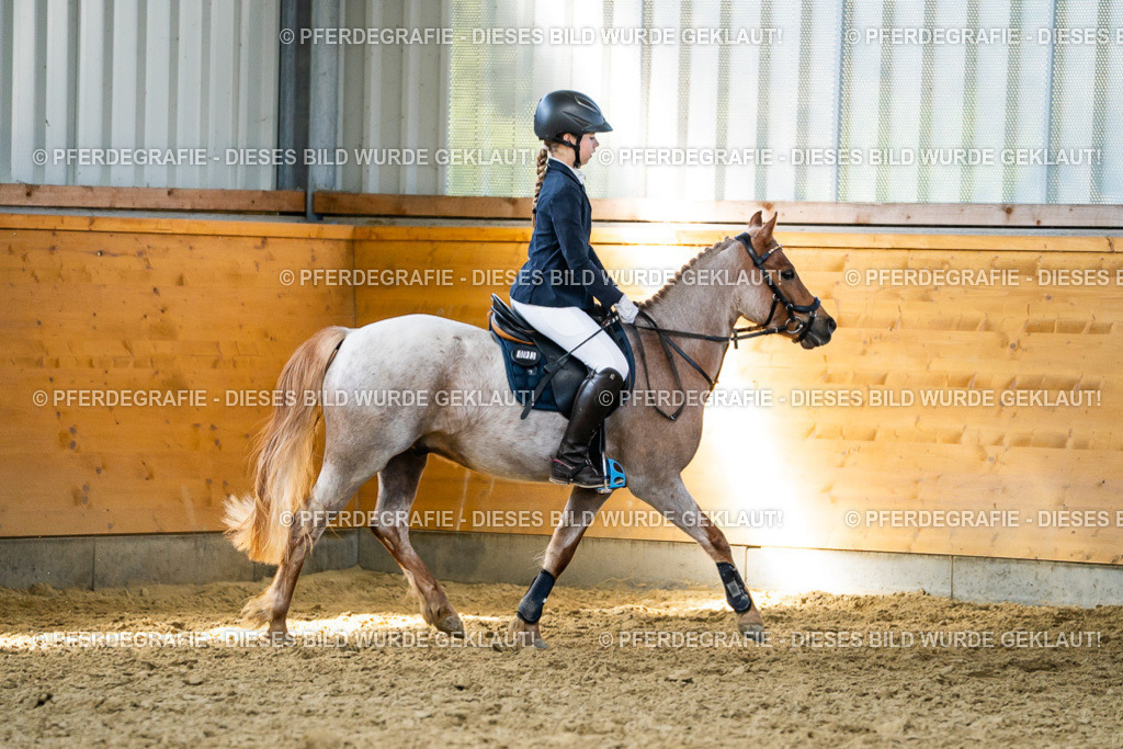 DSC02226 | Pferdegrafie