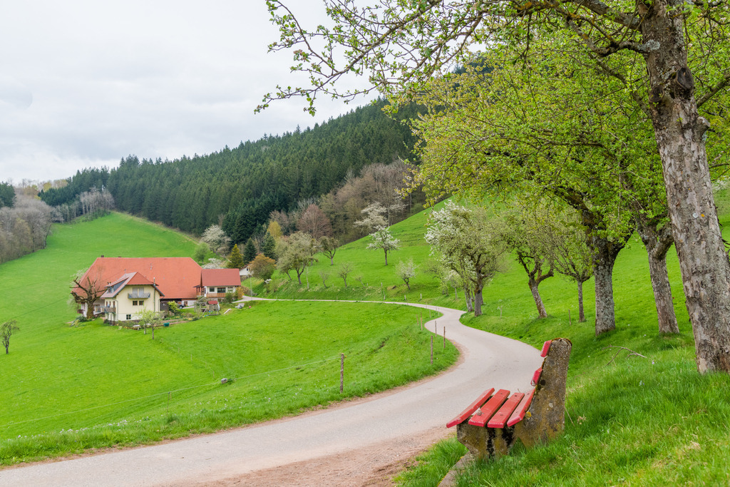 Blick auf den Buchjockenhof | Blick auf den Buchjockenhof - Realisiert mit Pictrs.com